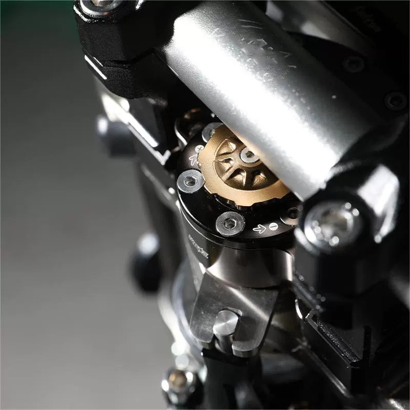 Untuk Sur-Ron Surron Ultra Bee - Steering Damper Stabilizer Kit Cnc ulasan dan harga